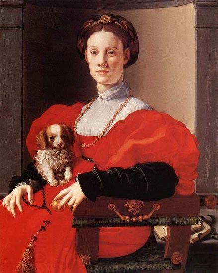 Pontormo, Jacopo Portrait of a Lady in Red China oil painting art